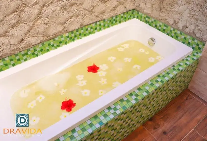 اتاق استاندارد, Dravida
