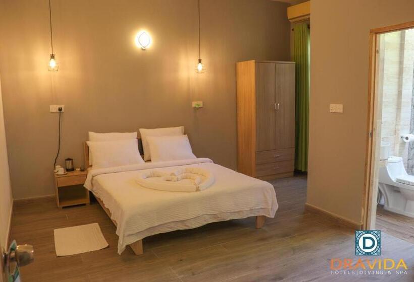 اتاق استاندارد, Dravida