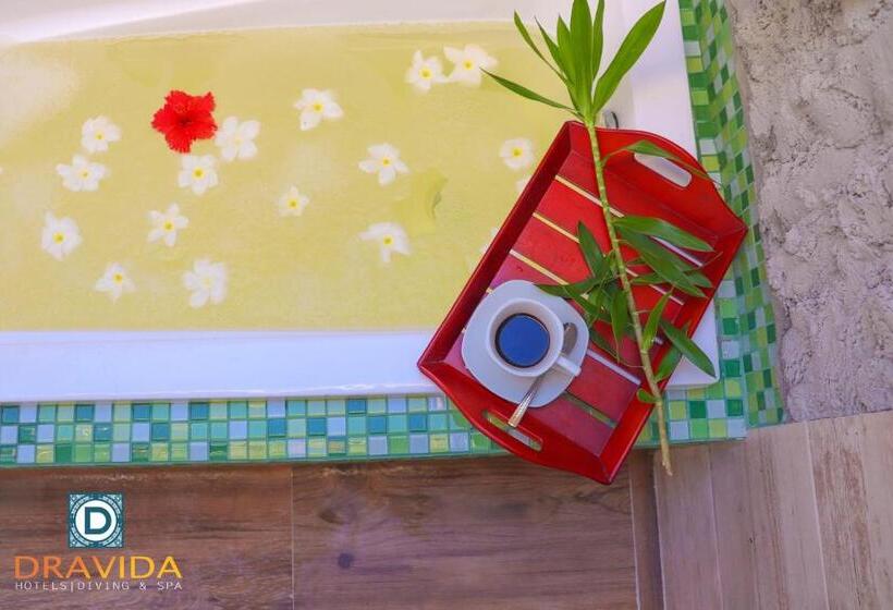 اتاق استاندارد, Dravida