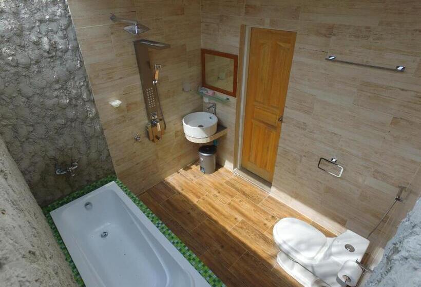 اتاق استاندارد, Dravida