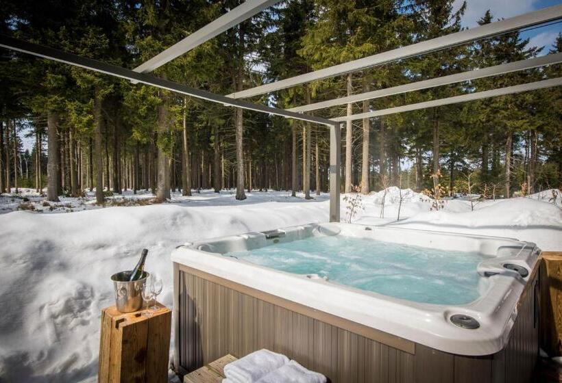 침실 1개 아파트, Královka