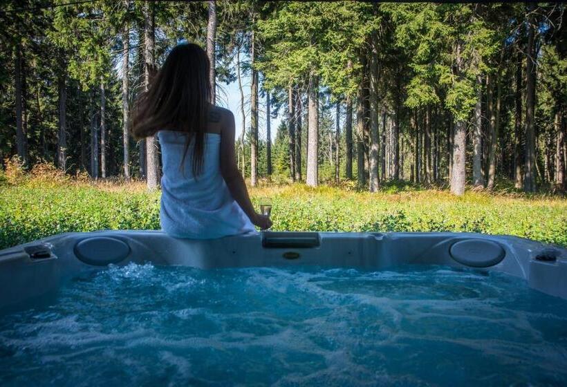 침실 1개 아파트, Královka