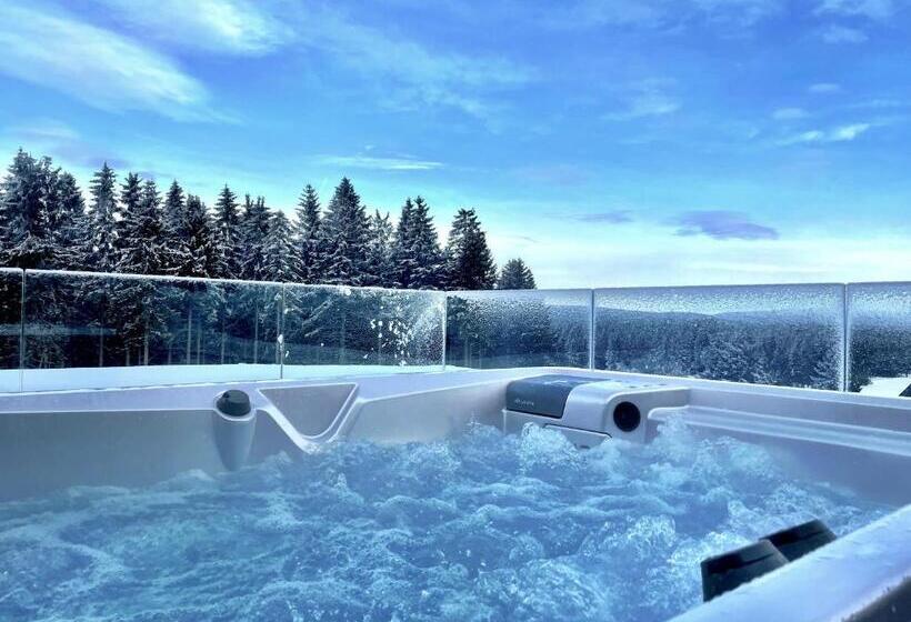 스탠다드 테라스 룸, Královka