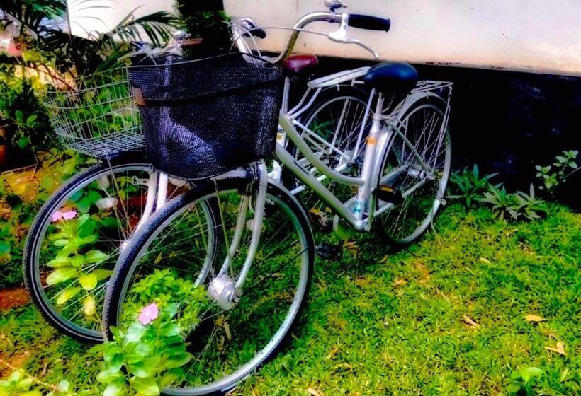 スタンダードルーム, Lake Front Yala Safari