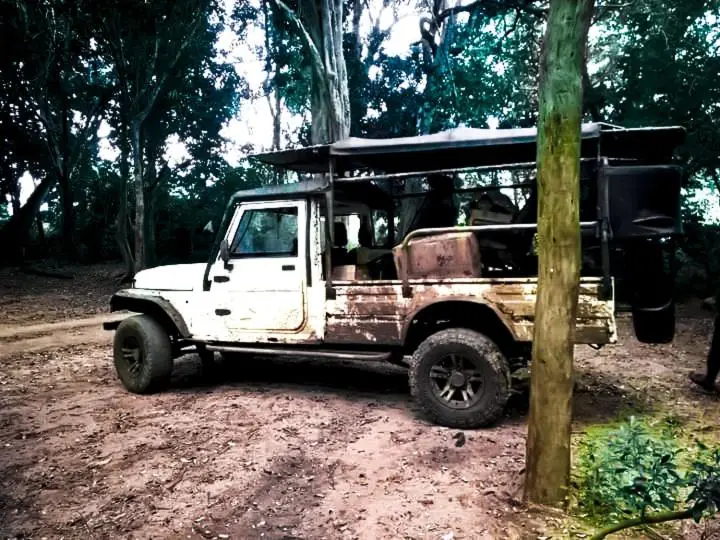デラックスルーム, Lake Front Yala Safari