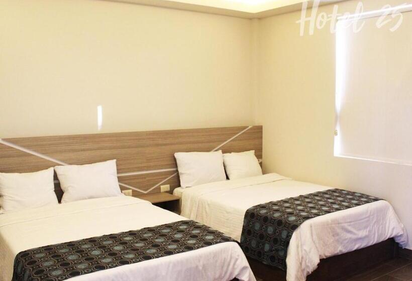 Номер Стандарт, 25