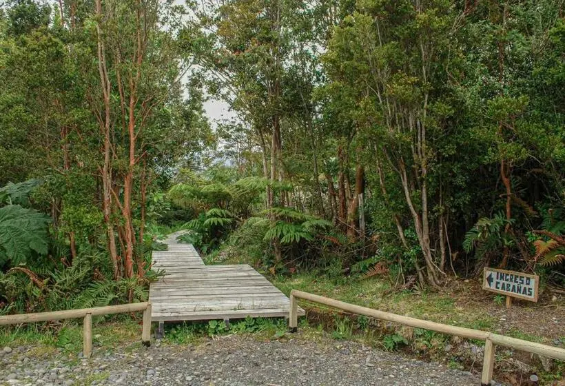 シャレー1寝室, Chucao Bosque Y Cabañas