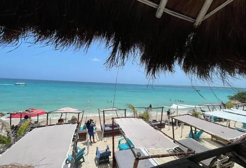 スタンダードバンガロー, Nena Beach Club &