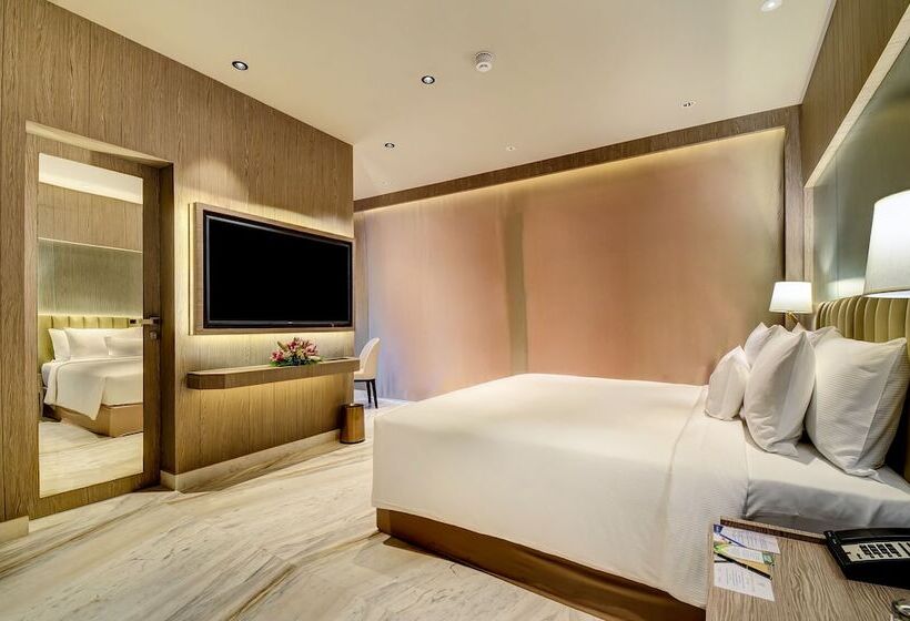 Executive-huone, Vividus