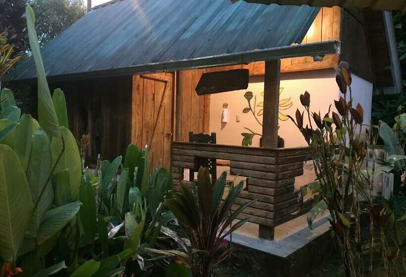 スタンダードルーム, Hostería Los Cedros De Mindo