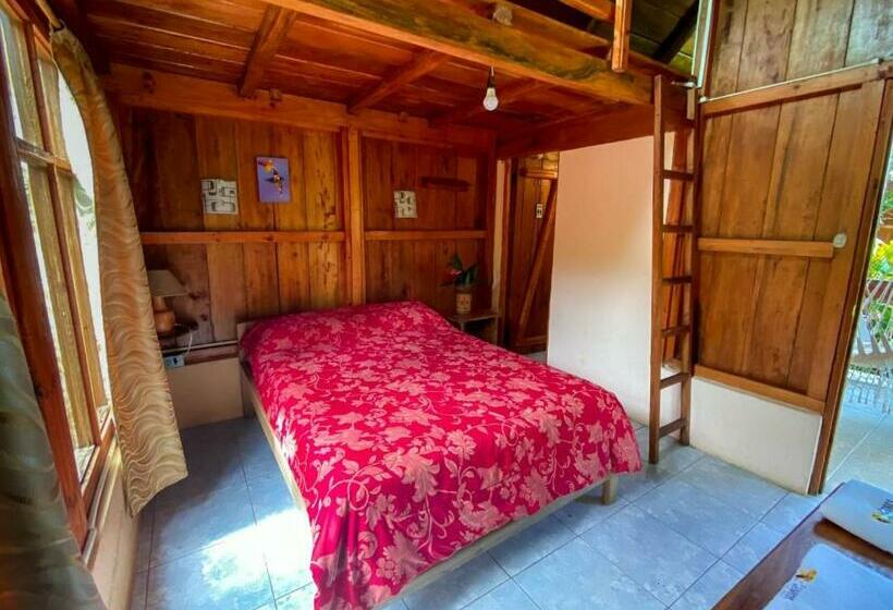 スタンダードルーム, Hostería Los Cedros De Mindo