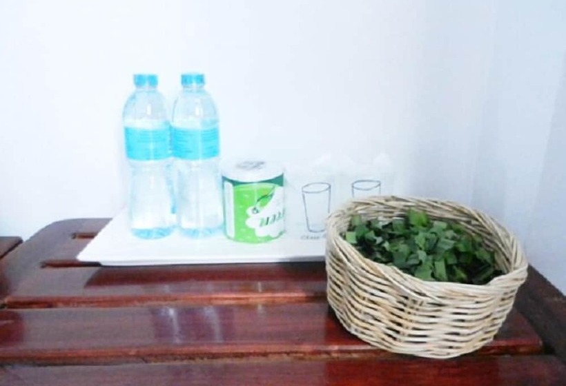 스탠다드 룸, Nutty Phoy