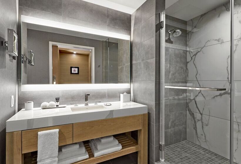 适用于残疾人士的豪华房间, Live! By Loews Arlington Tx