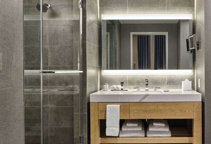 适用于残疾人士的豪华房间, Live! By Loews Arlington Tx