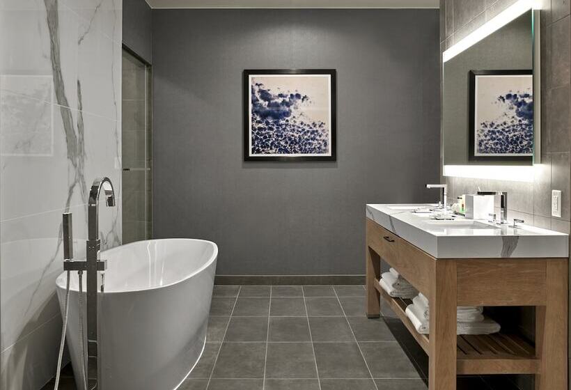 高级套房, Live! By Loews Arlington Tx