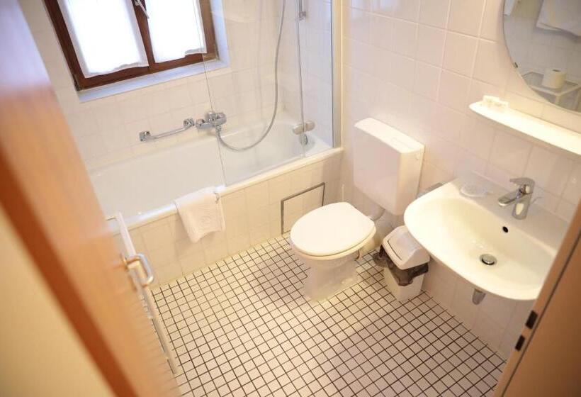 غرفة قياسية مطلّة علي البحيرة, Seewirt Ecking