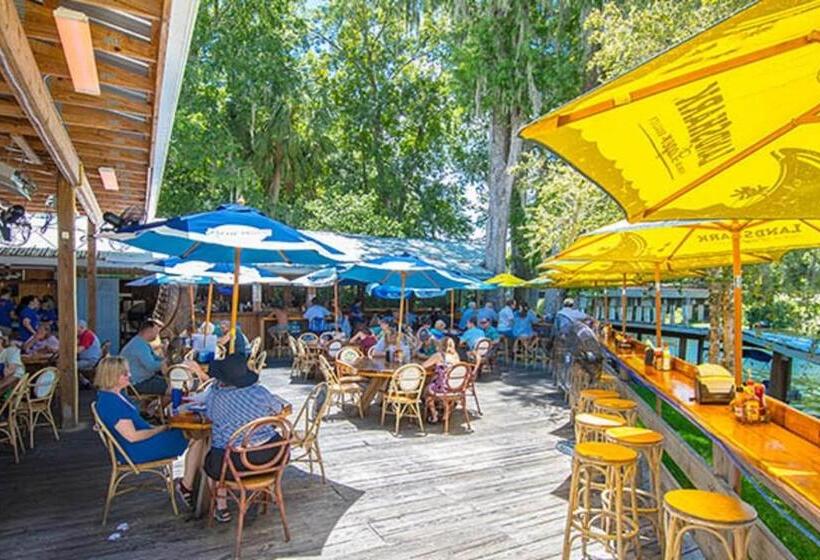 适合残疾人士使用的带超级大床的标准间, The Gator Den