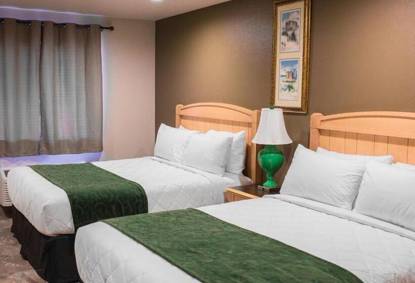 标准间, The Gator Den