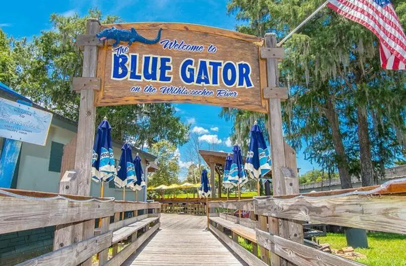 Deluxe-huone King-vuode, The Gator Den