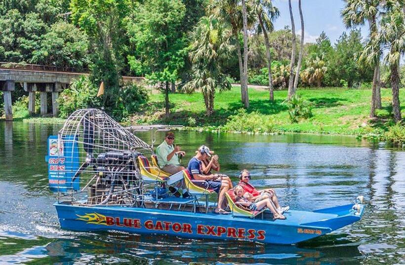 带大床的标准间, The Gator Den