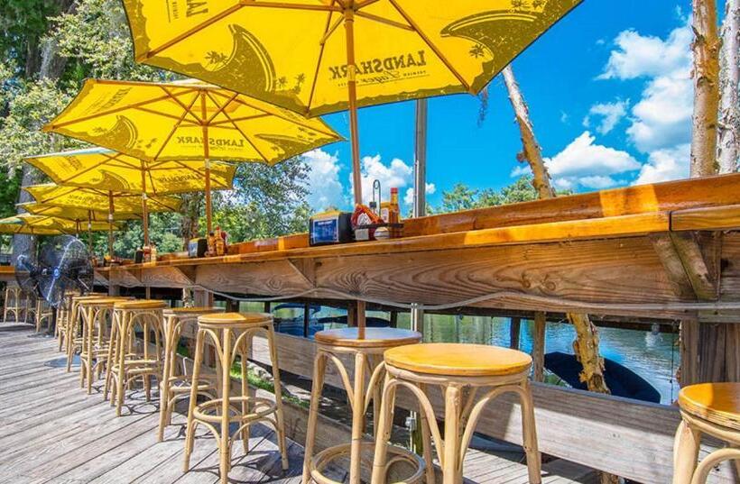 带大床的标准间, The Gator Den