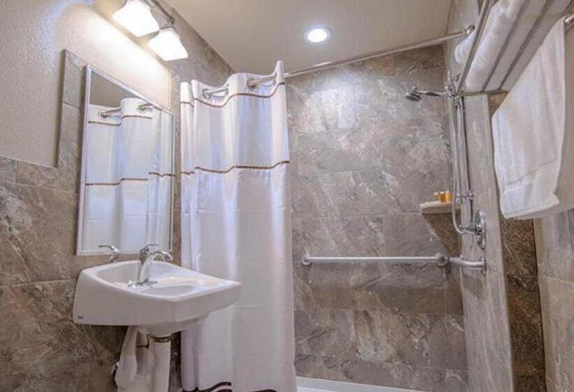 带大床的标准间, The Gator Den