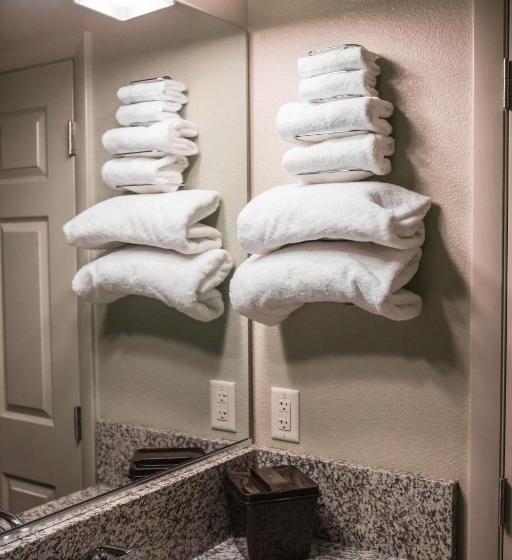 带大床的标准间, The Gator Den