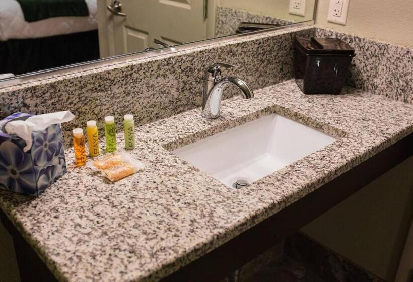 带大床的标准间, The Gator Den