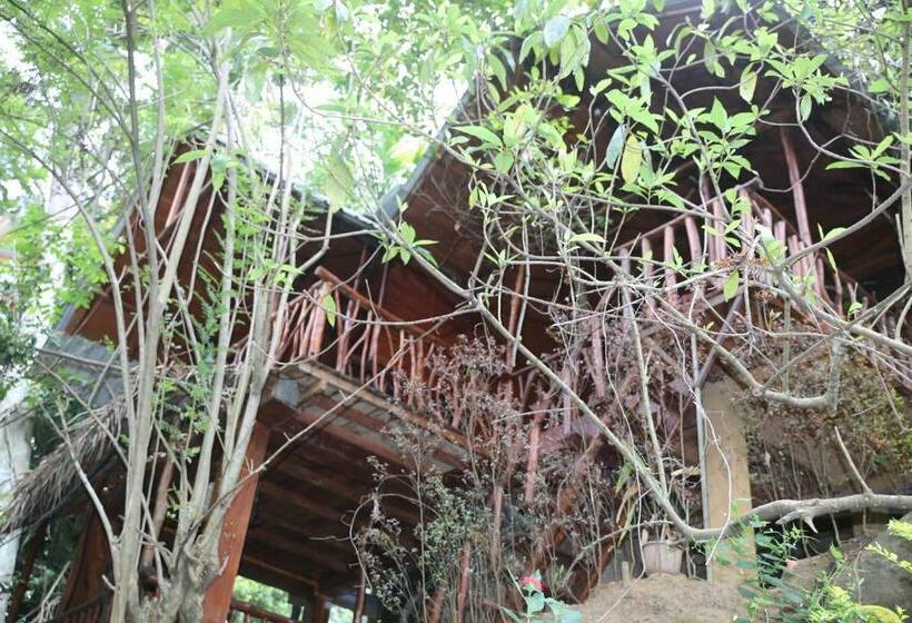 غرفة قياسية مطلة على الجبل, Jungle Face Inn