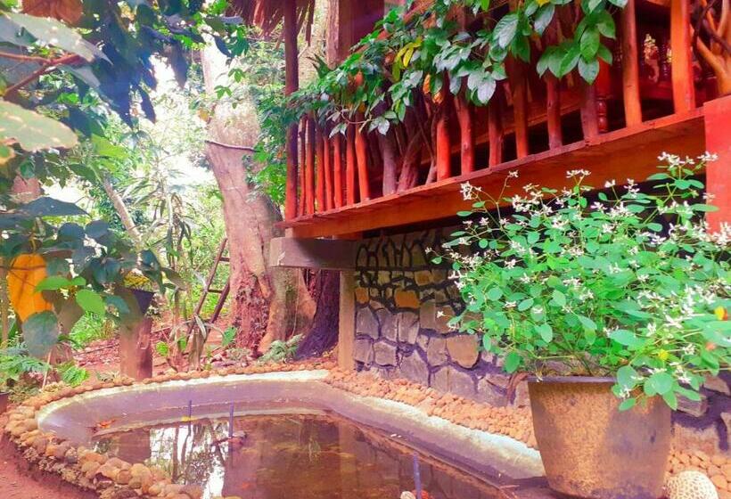 غرفة قياسية مطلة على الجبل, Jungle Face Inn