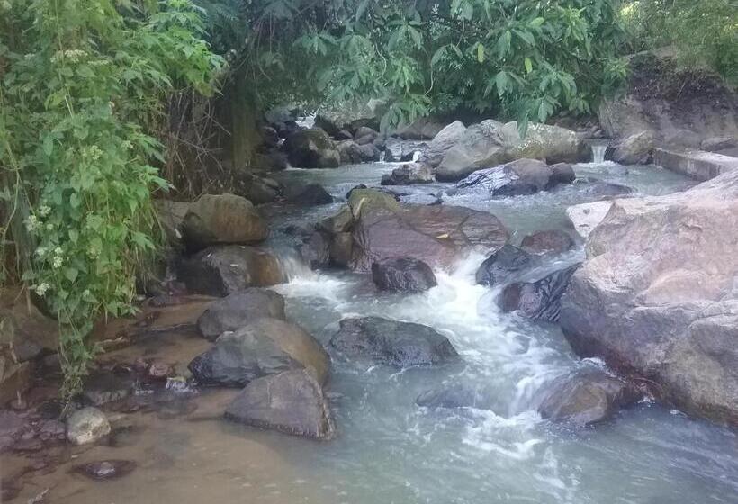 غرفة قياسية مطلة على الجبل, Jungle Face Inn