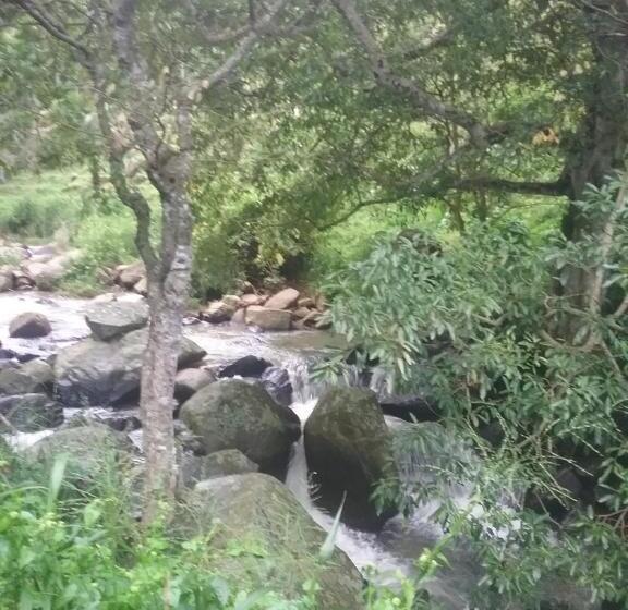 غرفة قياسية مطلة على الجبل, Jungle Face Inn