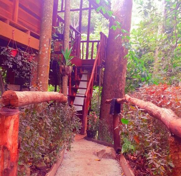 Семейный Номер Вид на Горы, Jungle Face Inn