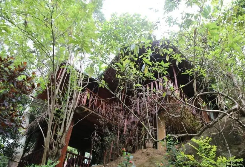 ツーベッドルーム　ヴィラ, Jungle Face Inn