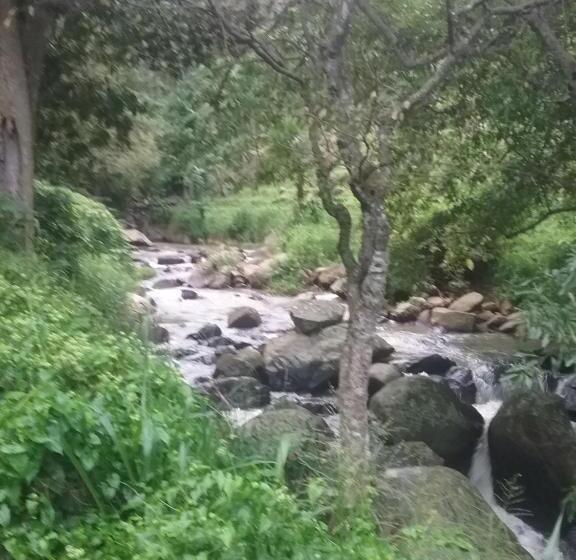 غرفة عائلية مطلّة علي الجبل, Jungle Face Inn