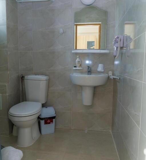 스탠다드 발코니 룸, Ema