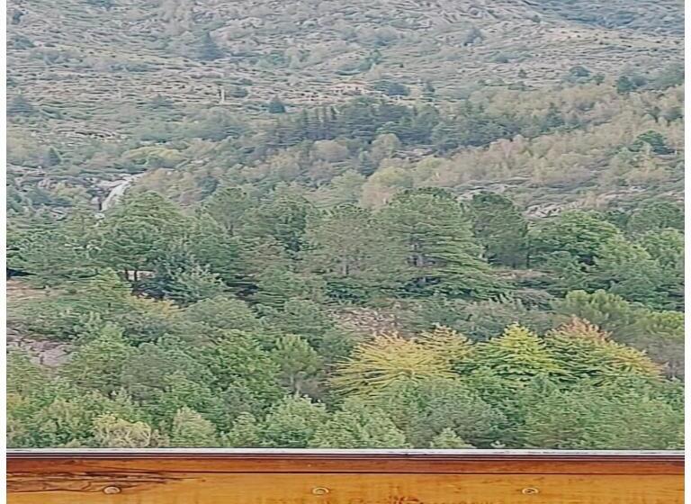 景色の見える一ベッドルームアパートメント, La Ponderosa Cumbrecita