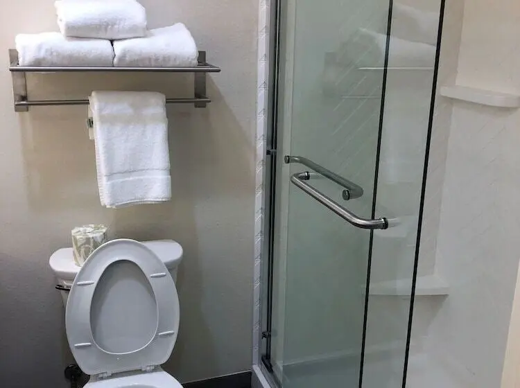 身障者適用スイートルーム, Holiday Inn & Suites   Fayetteville W Fort Bragg Area, An Ihg