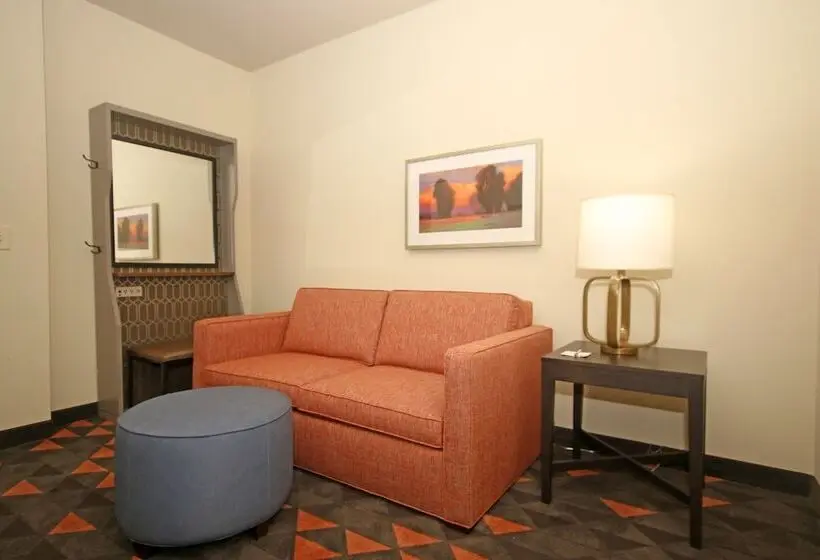 身障者適用スイートルーム, Holiday Inn & Suites   Fayetteville W Fort Bragg Area, An Ihg