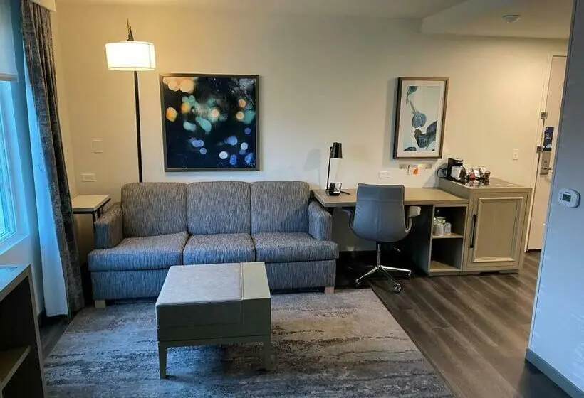 キングサイズベッドのスタンダードルーム, Hyatt Place Santa Barbara