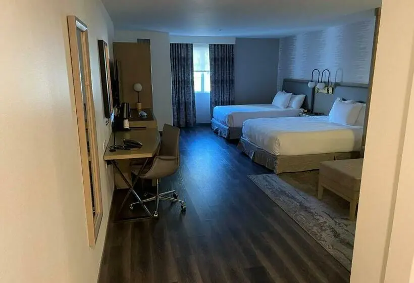 スタンダードルーム, Hyatt Place Santa Barbara