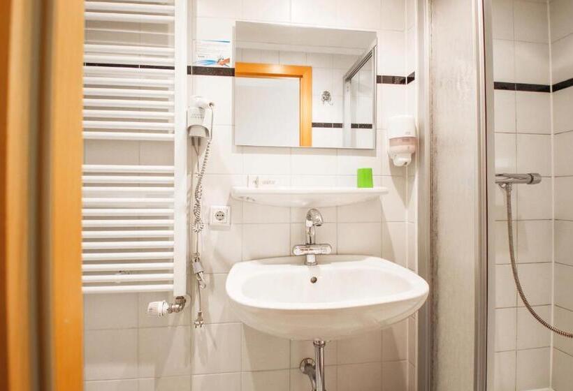 标准间带山景, Panorama Hotel Winterberg