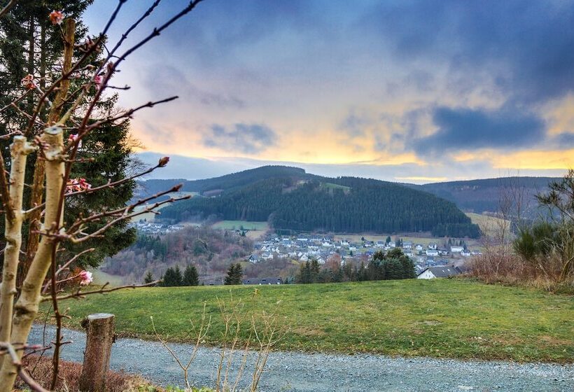 Номер Стандарт Вид на Горы, Panorama Hotel Winterberg
