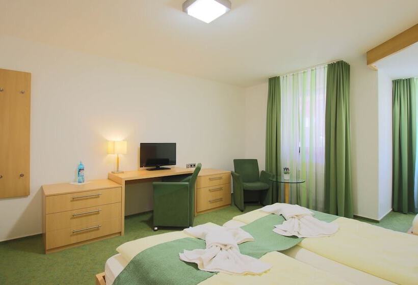 Номер Стандарт Трехместный, Panorama Hotel Winterberg