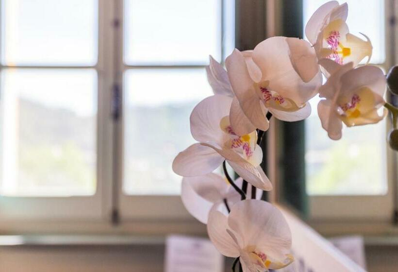 اتاق لوکس, Angiolina's Farm