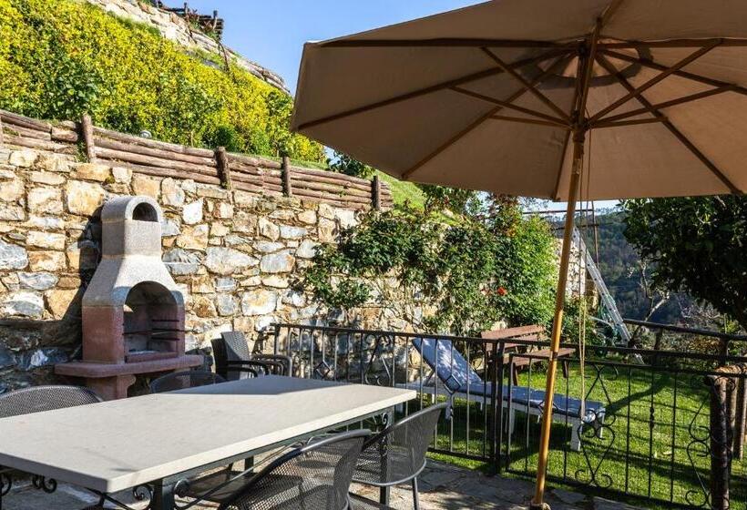 سوئیت جونیور با تراس, Angiolina's Farm