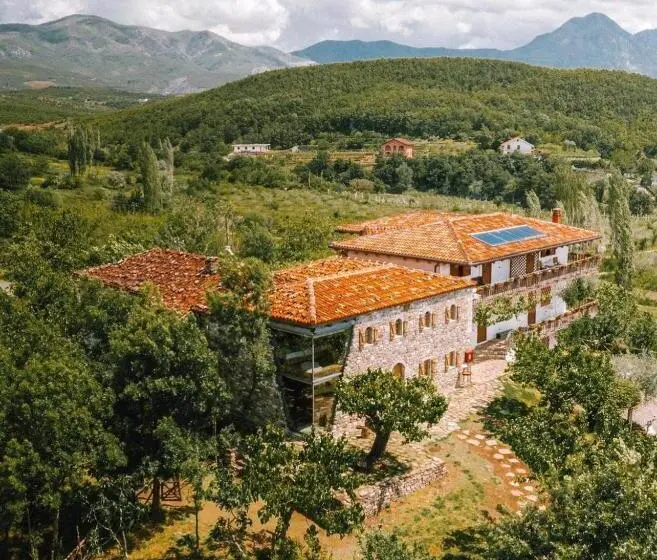 اتاق لوکس, Mrizi I Zanave Agroturizëm