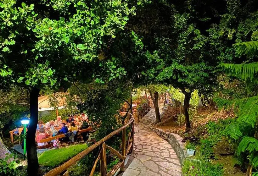 اتاق خانوادگی, Mrizi I Zanave Agroturizëm