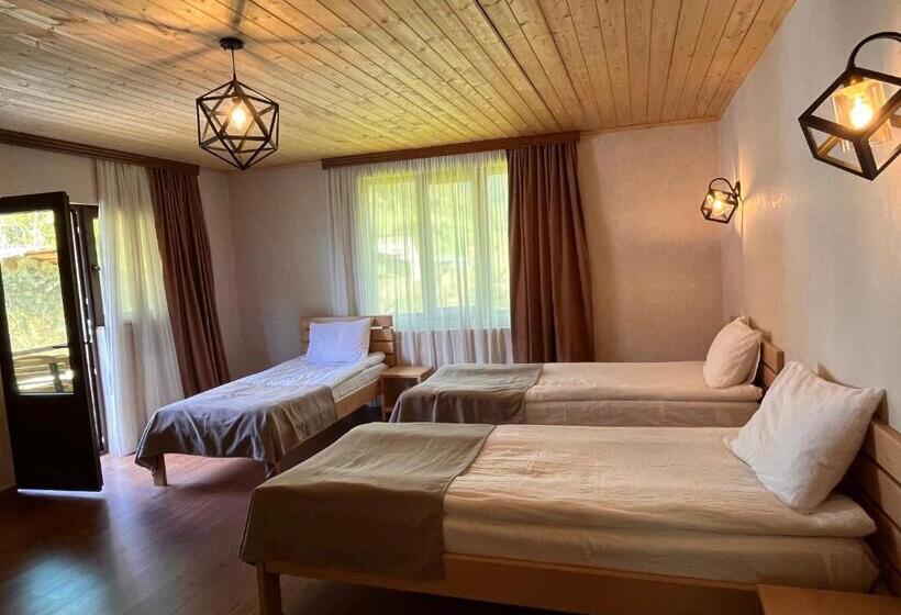 اتاق استاندارد سه تخته با بالکن, Old View