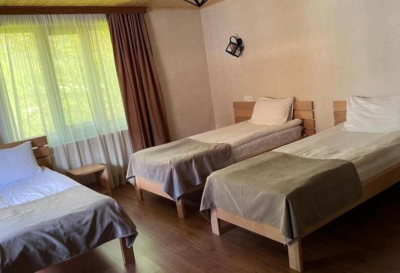 اتاق استاندارد سه تخته با بالکن, Old View